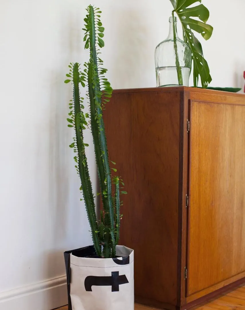 9 Tuinhuis Apartment Cape Town