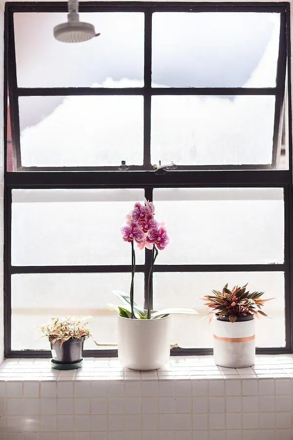 9 Tuinhuis Apartment Cape Town South Africa